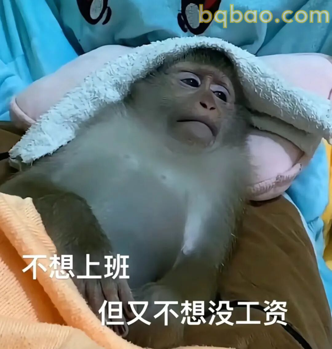 上班表情包合集 17