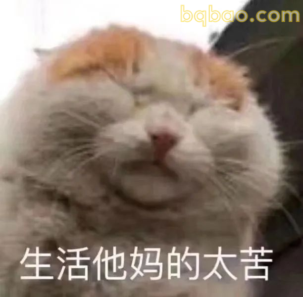 上班表情包合集 19