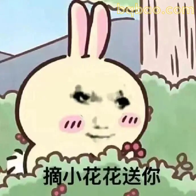 万能回复表情包合集 14