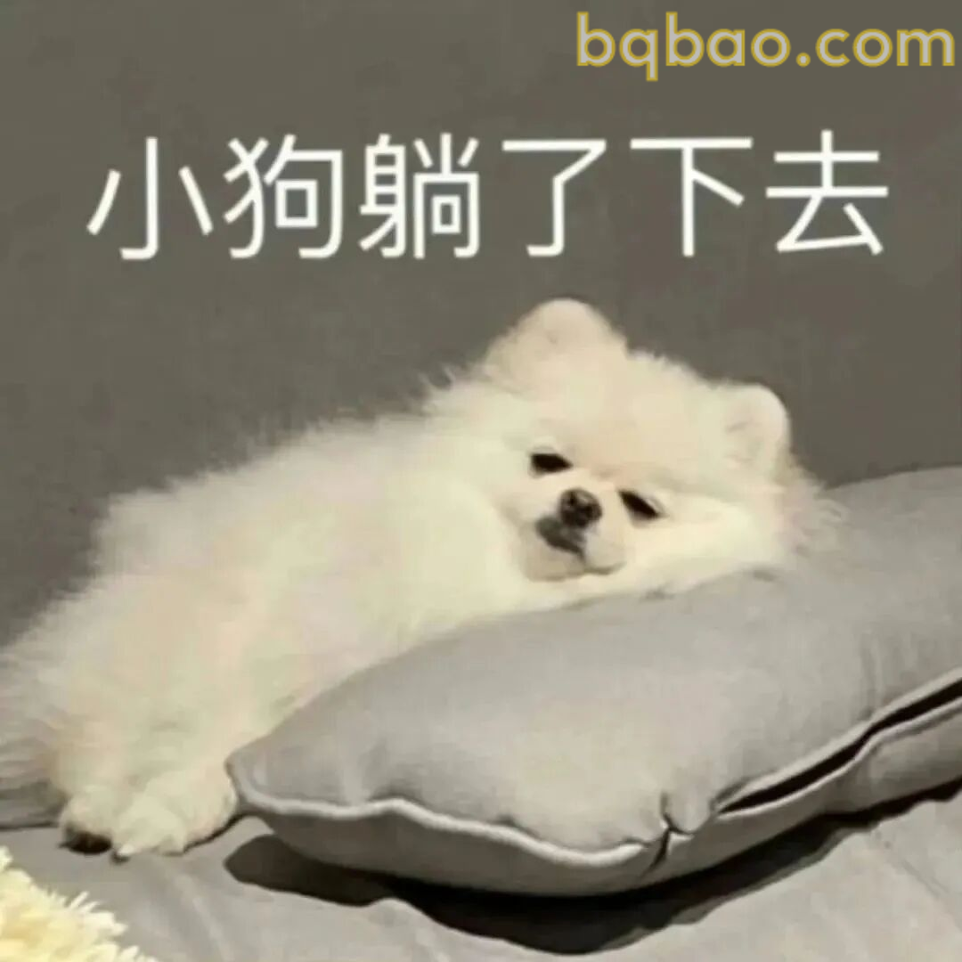 万能回复表情包合集 16