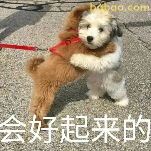 万能回复表情包合集 17