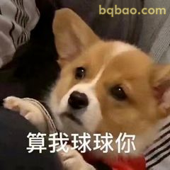 万能回复表情包合集 24