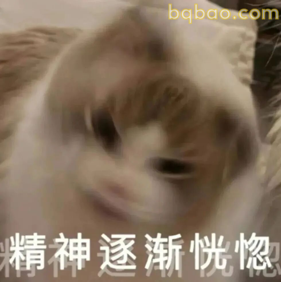 沙雕表情包合集-2 13