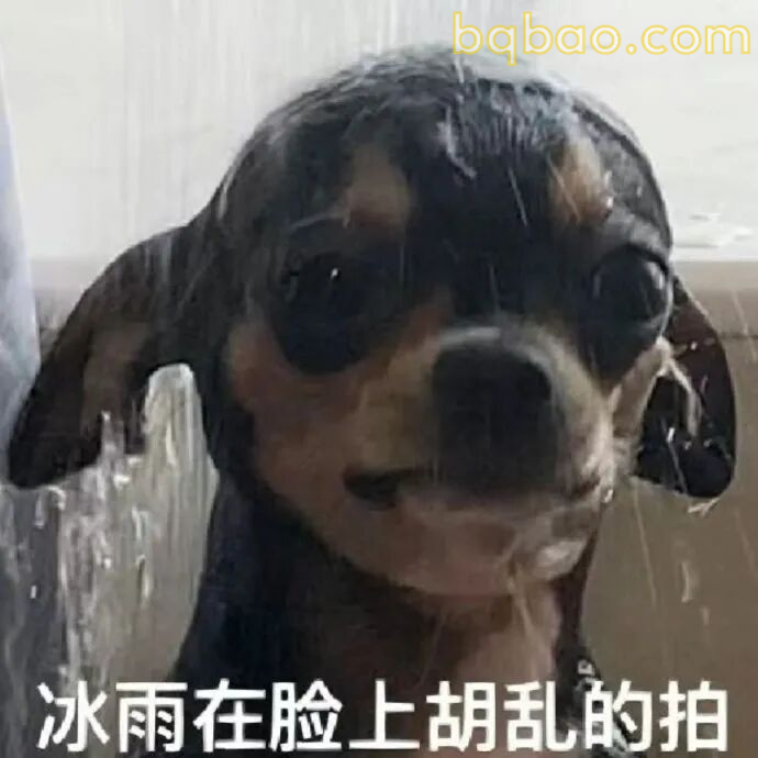 沙雕表情包合集-2 19
