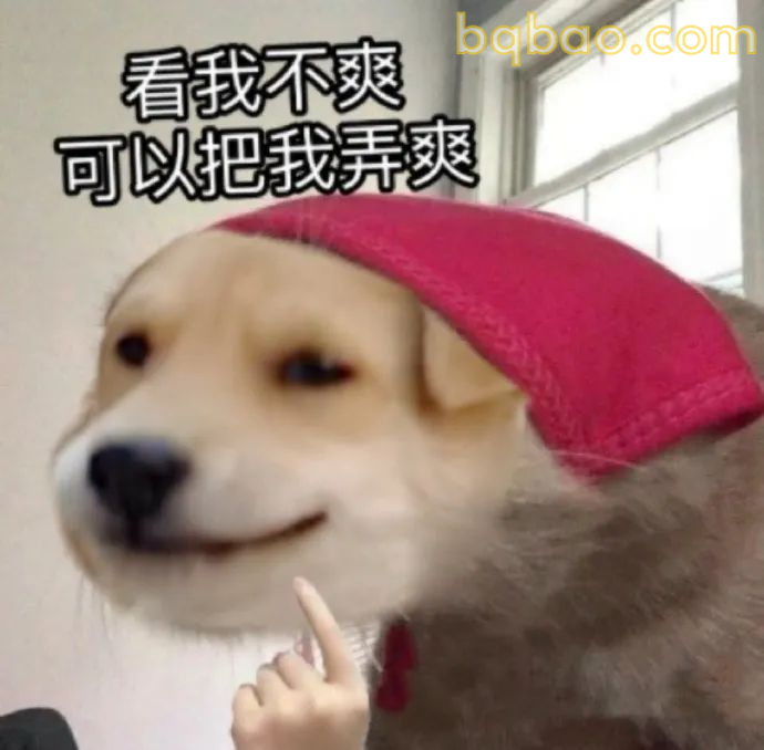 奇怪的表情包增加了 2