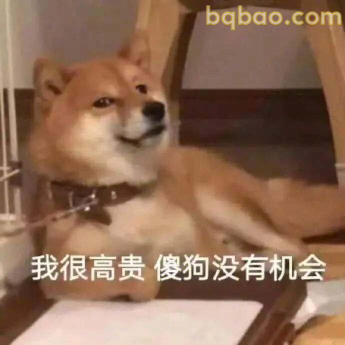 奇怪的表情包增加了 14