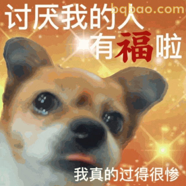 奇怪的表情包增加了 19