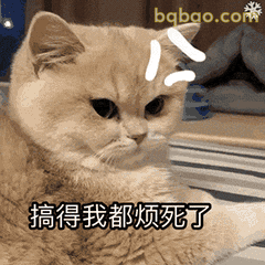 无语表情包合集 15