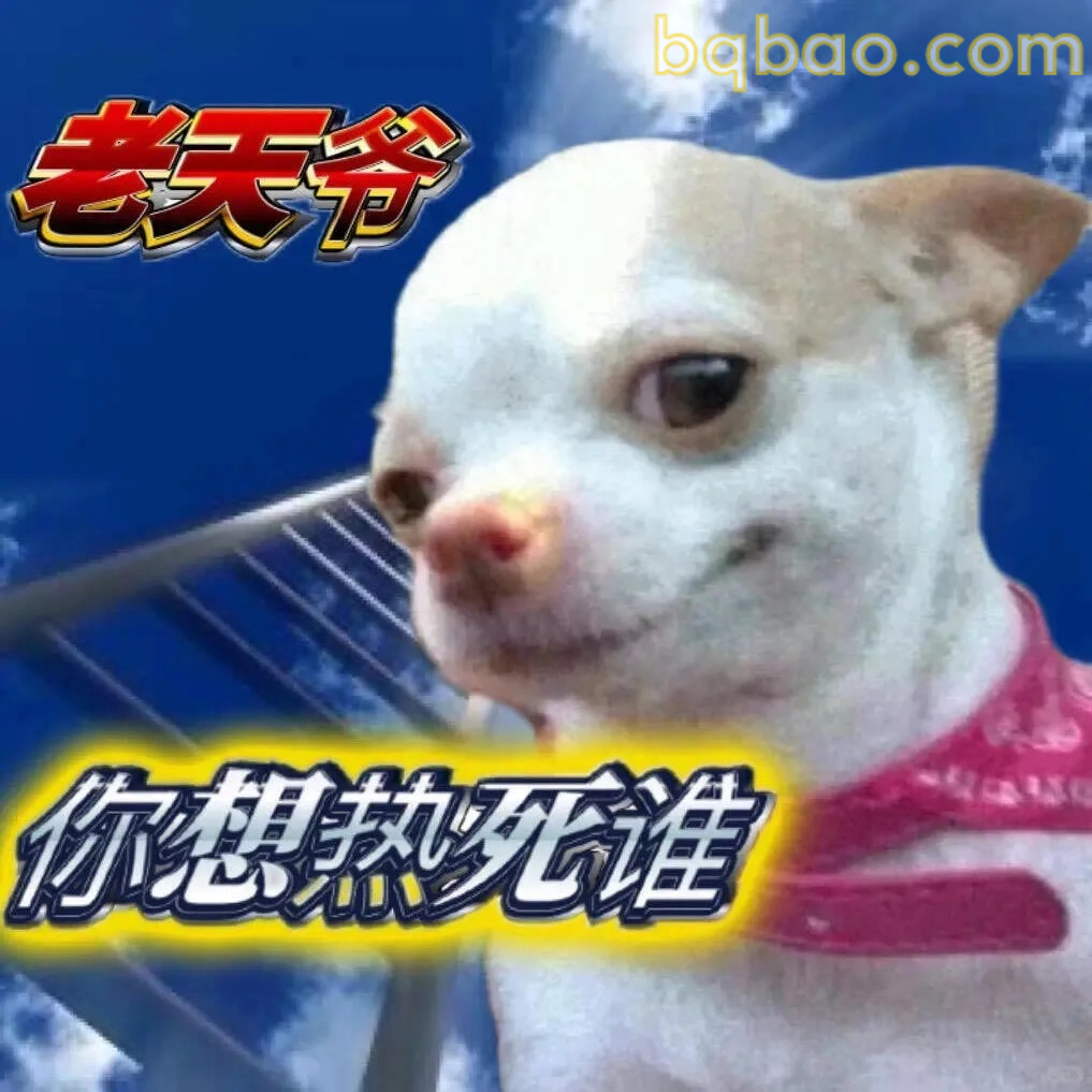 吉娃娃表情包合集 15