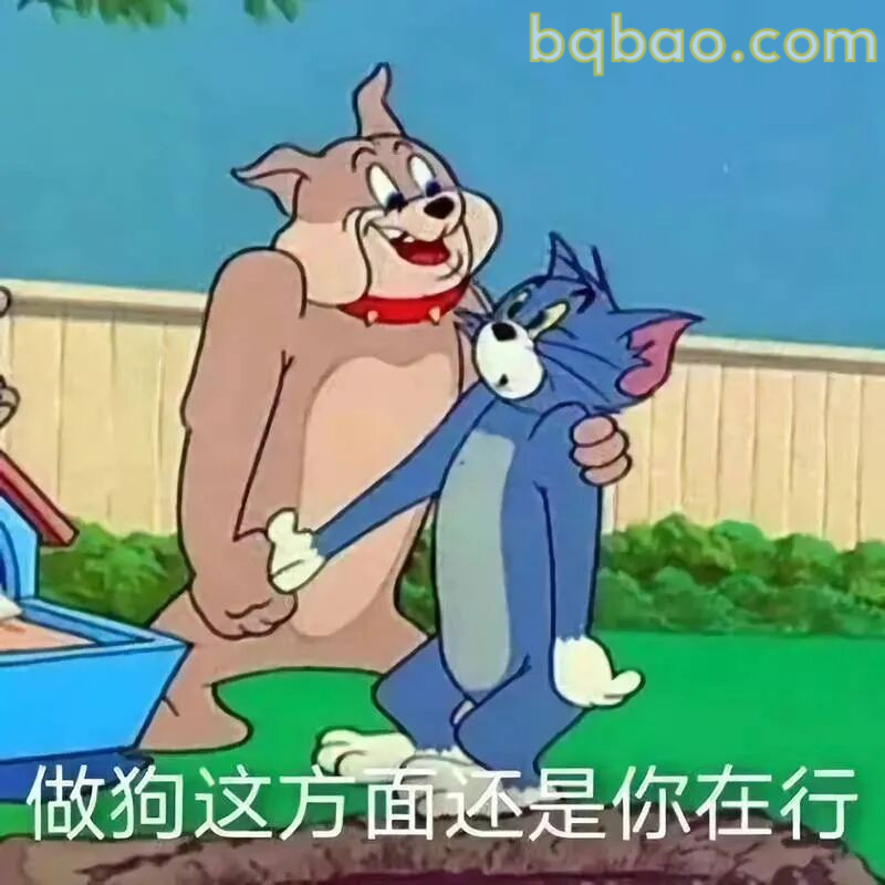 猫和老鼠表情包合集 23