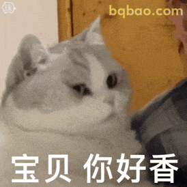 贱贱的表情包 1