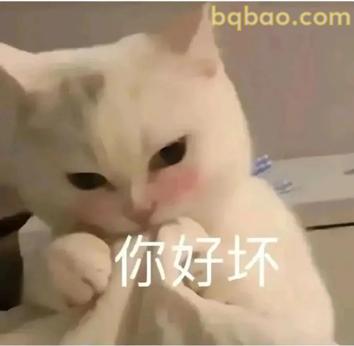 贱贱的表情包 8