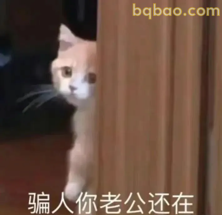 贱贱的表情包 11