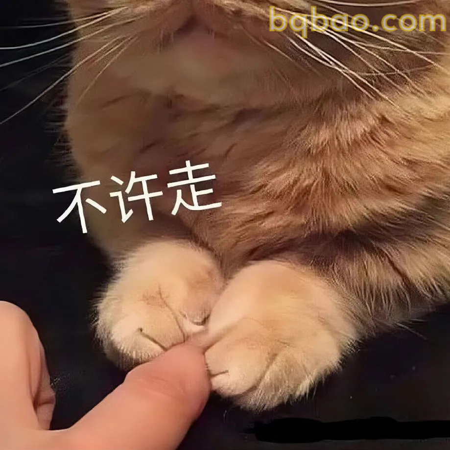 贱贱的表情包 21