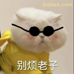 又酷又拽的表情包合集 1