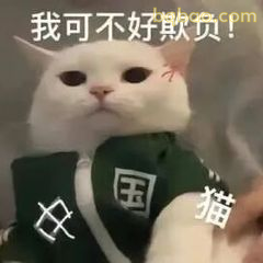 又酷又拽的表情包合集 4