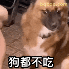 又酷又拽的表情包合集 7