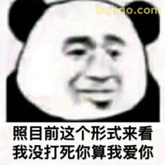 又酷又拽的表情包合集 9
