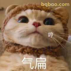 又酷又拽的表情包合集 11