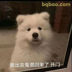 又酷又拽的表情包合集 13