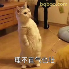又酷又拽的表情包合集 15