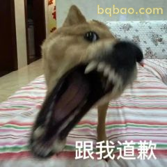 又酷又拽的表情包合集 20