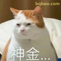 又酷又拽的表情包合集 23
