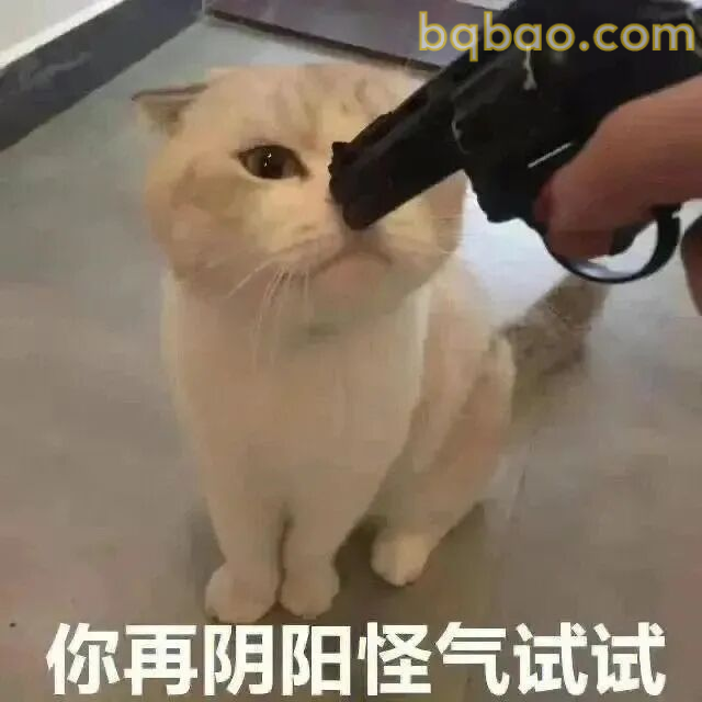 阴阳怪气表情包合集 11