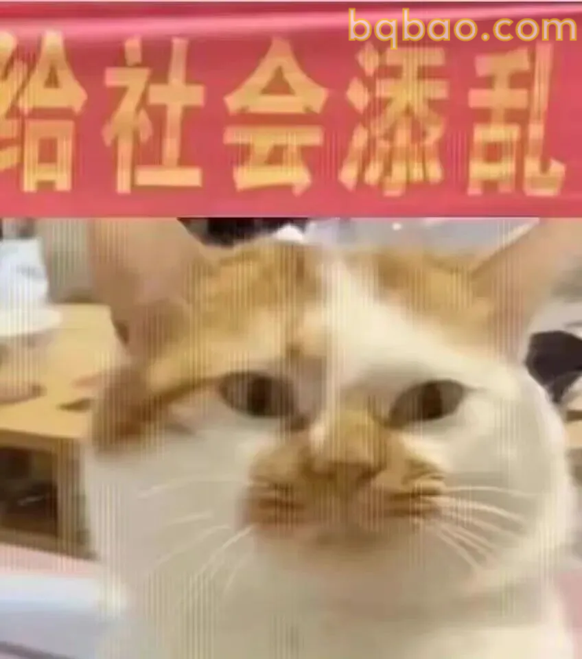 阴阳怪气表情包合集 16