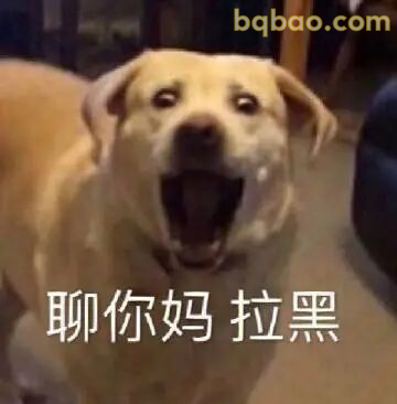 攻击力强表情包合集 3