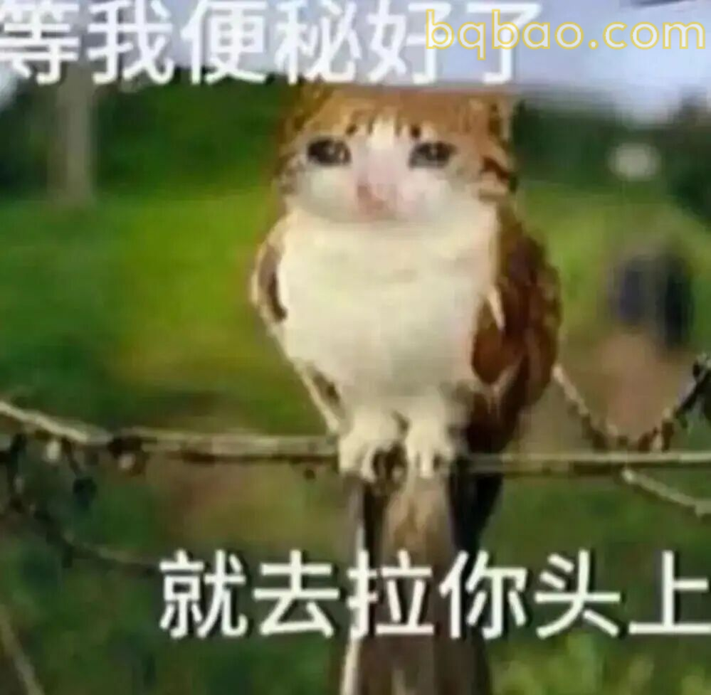 攻击力强表情包合集 8
