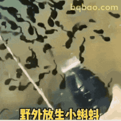 谈恋爱表情包合集 11