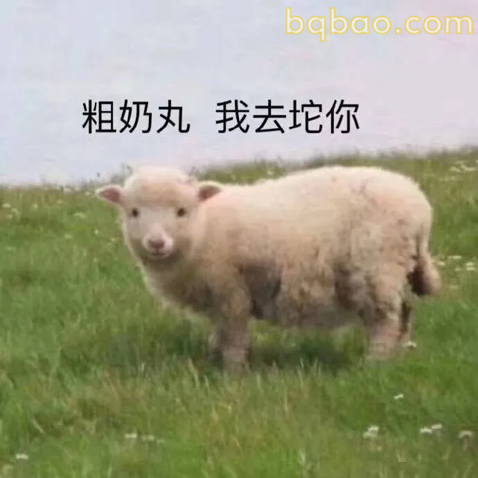 谈恋爱表情包合集 14