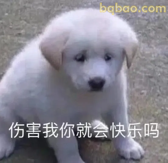 谈恋爱表情包合集 19