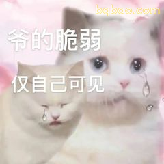 委屈巴巴表情包合集 3