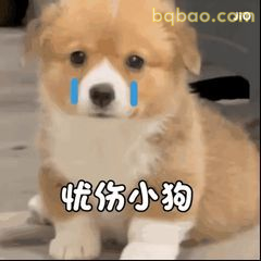 委屈巴巴表情包合集 5