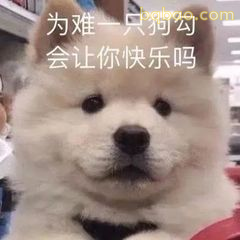 委屈巴巴表情包合集 15