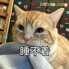 橘猫流泪睡不着表情包