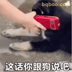 恶搞表情包合集 14