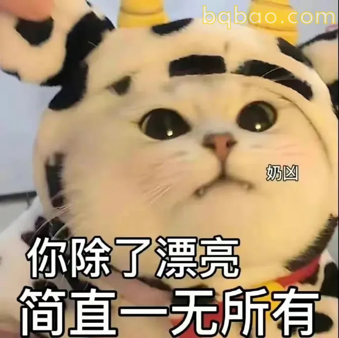日常通用表情包合集 13