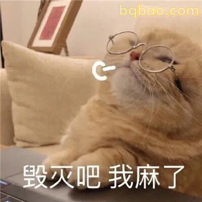 日常通用表情包合集 16