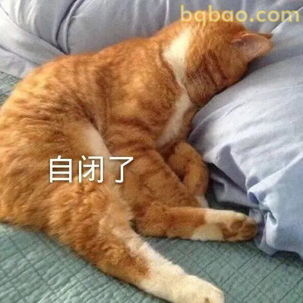 日常通用表情包合集 17