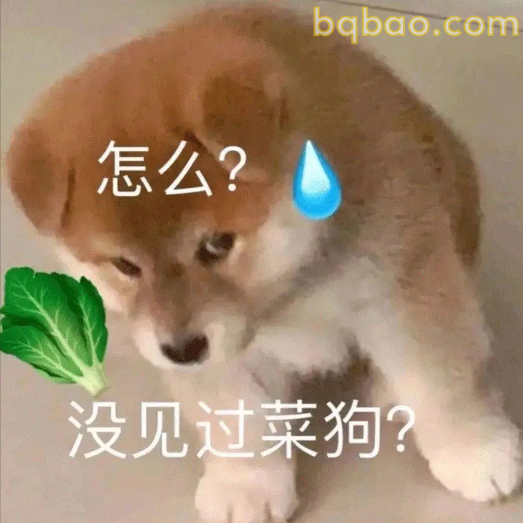 怎么？没见过菜狗