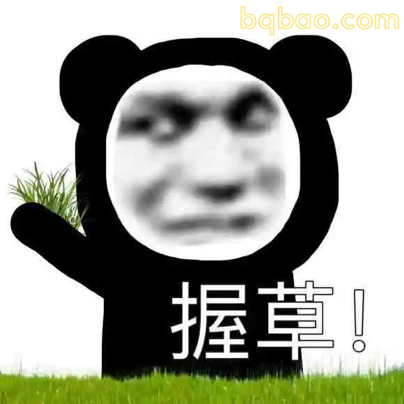 没素质表情包合集 3
