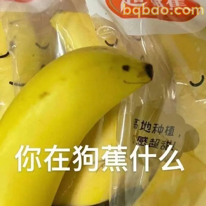 没素质表情包合集 8