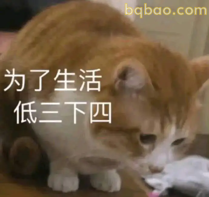牛马表情包合集 2