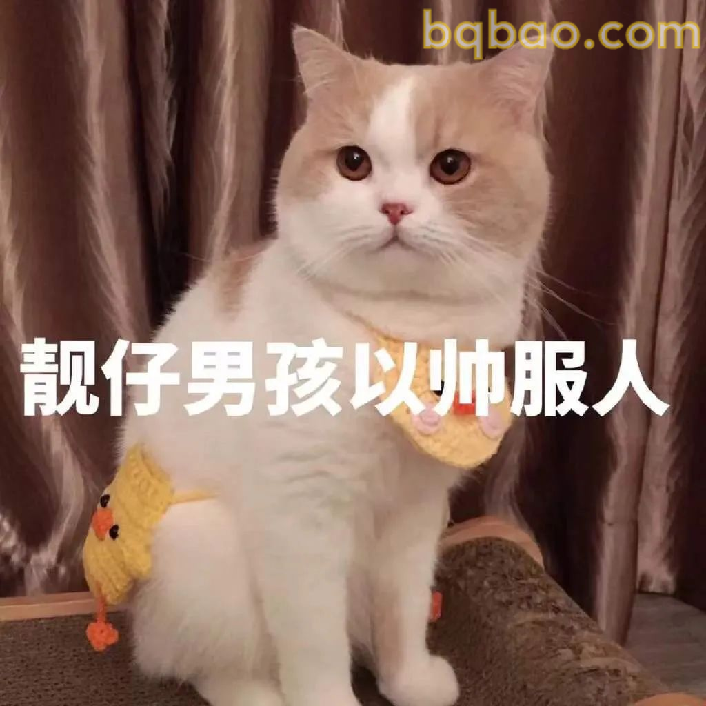 恋爱抽象表情包合集 13