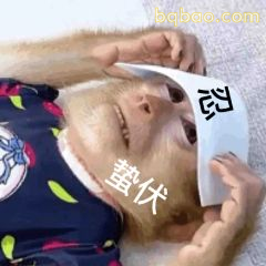 沙雕搞笑表情包合集 2
