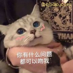 都可以吻我