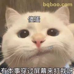 沙雕搞笑表情包合集 9